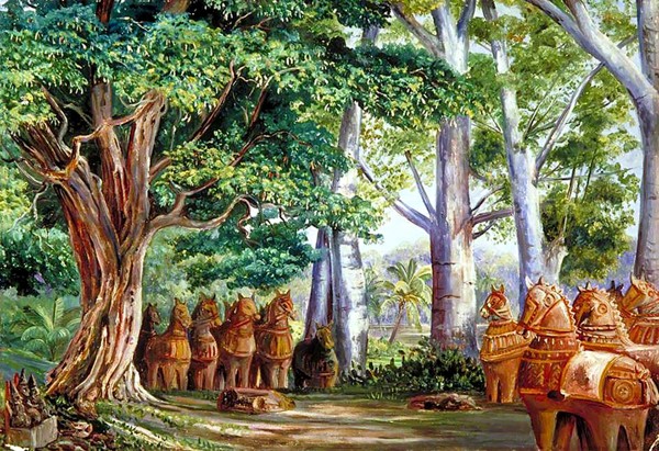 Baobab Trees And A Large Tamarind Tree_OSG by One Simple Gallery
